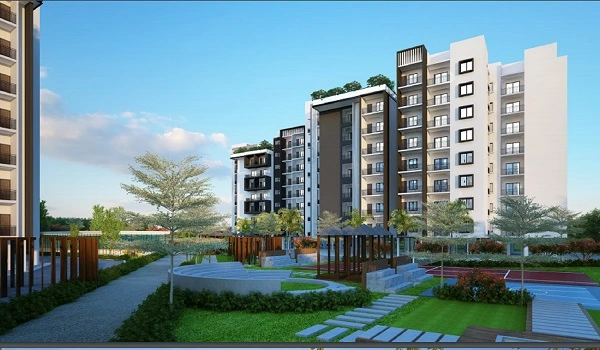 Featured Image of Ozone Urbana Prime
