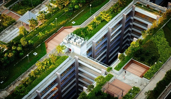 Featured Image of Size and Planning: A Large Township with Lots of Green Space